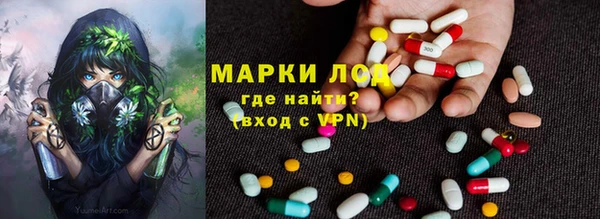 прущие грибы Абдулино